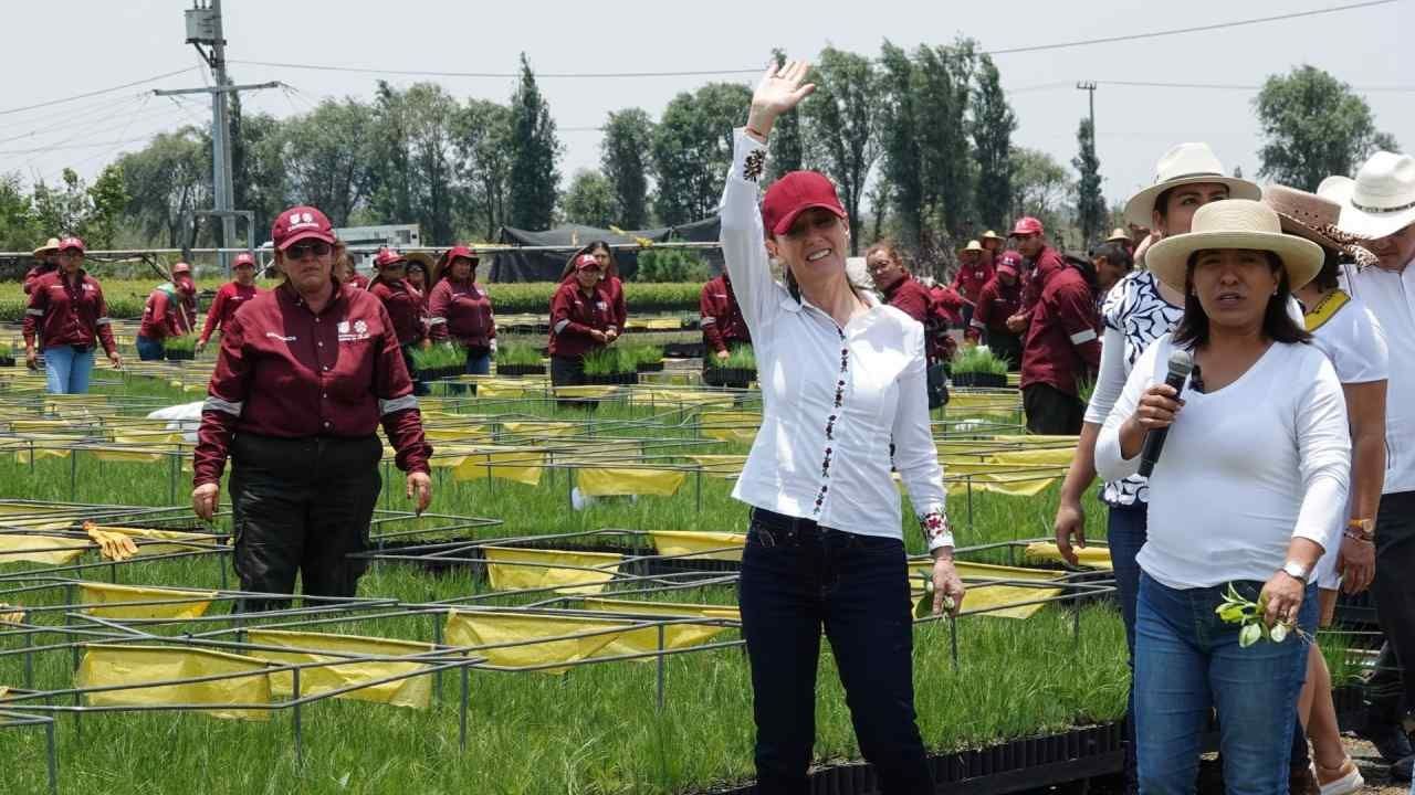 Sheinbaum Celebra que Mexicanos Apoyen la Idea de una Presidenta