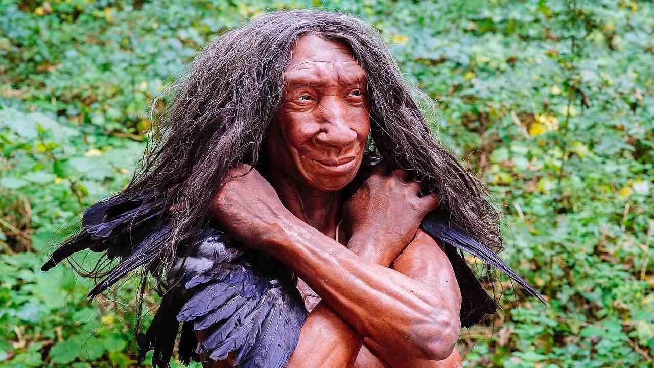 Recreación del hombre de Neanderthal en un museo