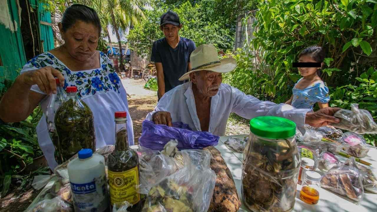 Niños Mayas Mexicanos, más Altos y con Sobrepeso por Dieta