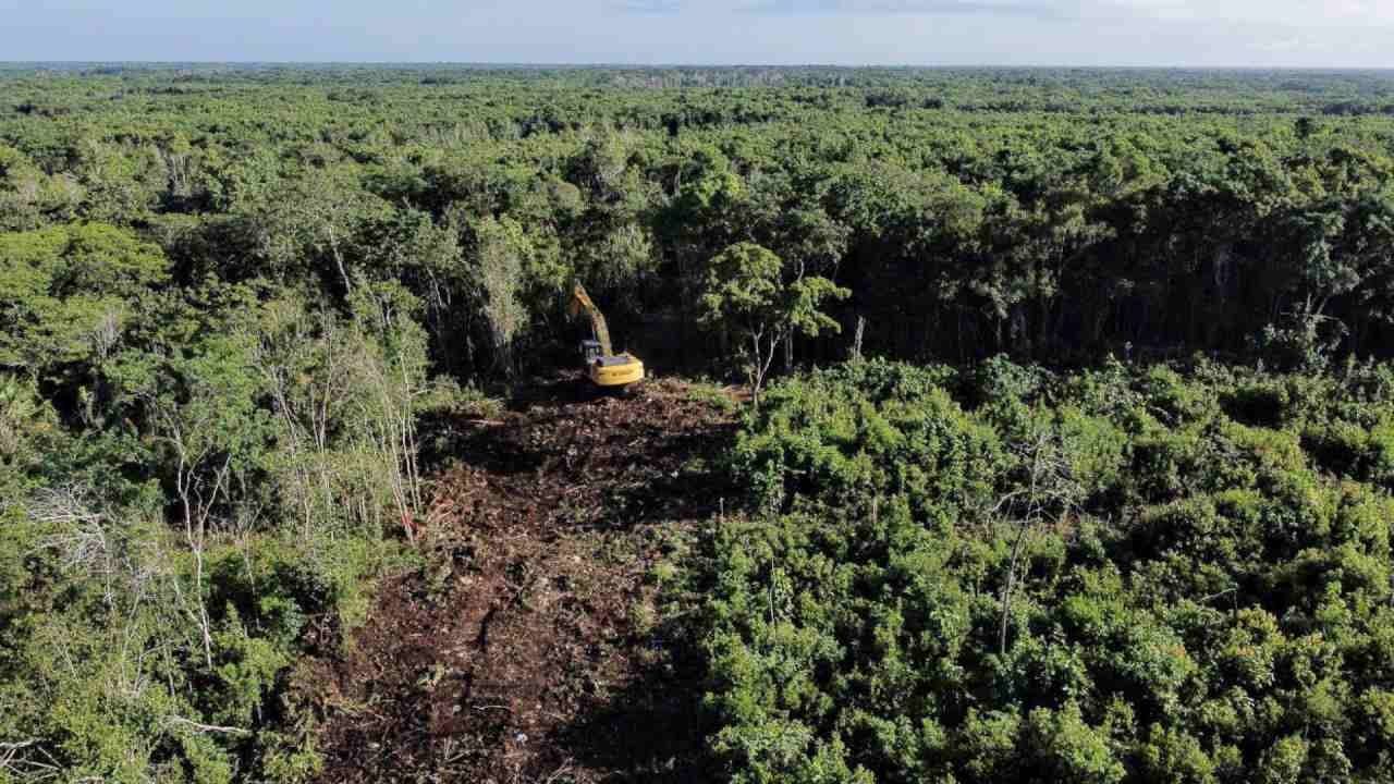 Juzgado da suspensión definitiva en 4 tramos del Tren Maya