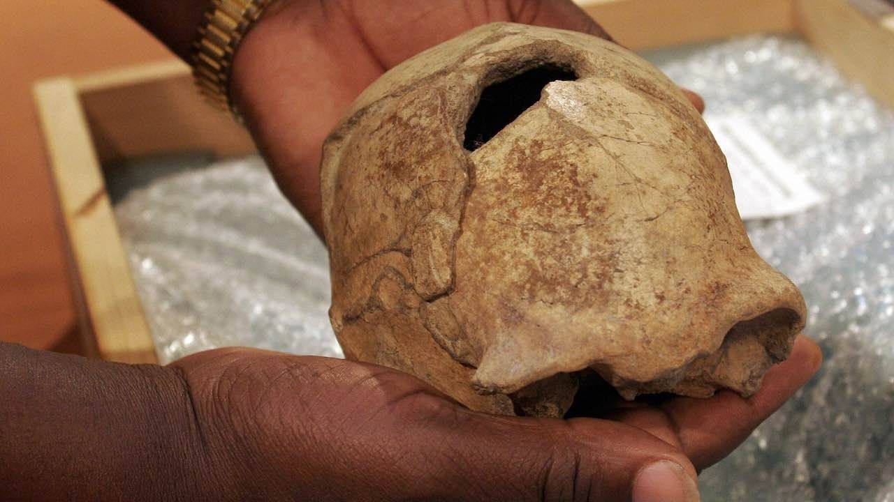 Ancestros de los Humanos Eran Caníbales, Sugiere Evidencia