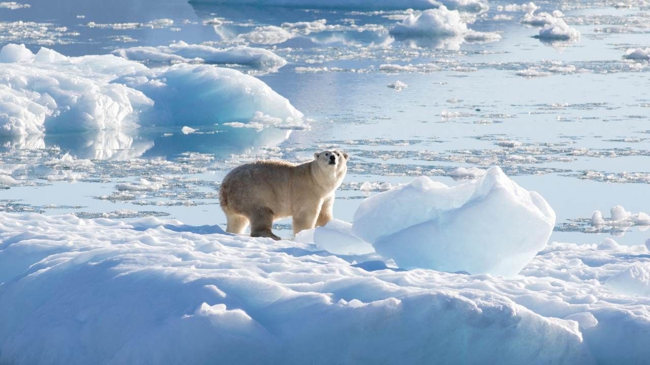 El Ártico podría quedar libre de hielo marino durante los meses de septiembre a partir de 2030-2050 en todos los escenarios de emisiones