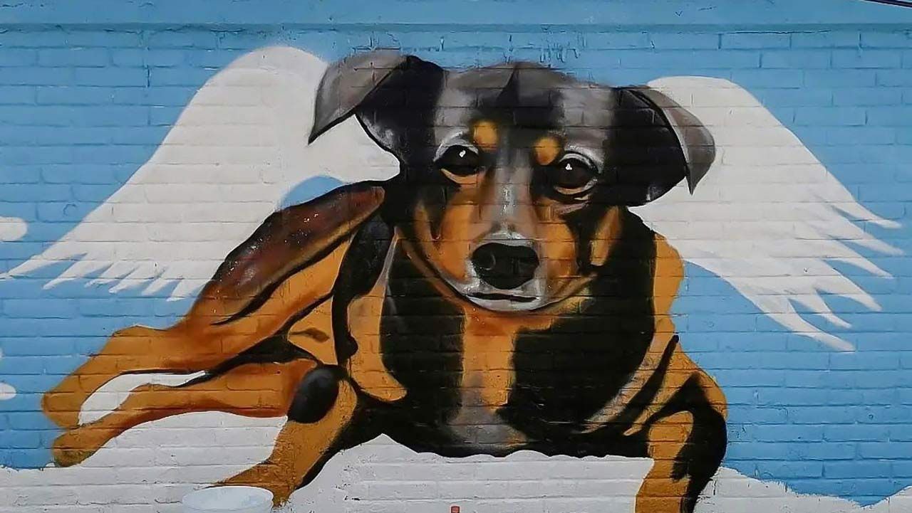 Pintan Mural en Honor a Scooby: Perrito Lanzado al Aceite Hirviendo