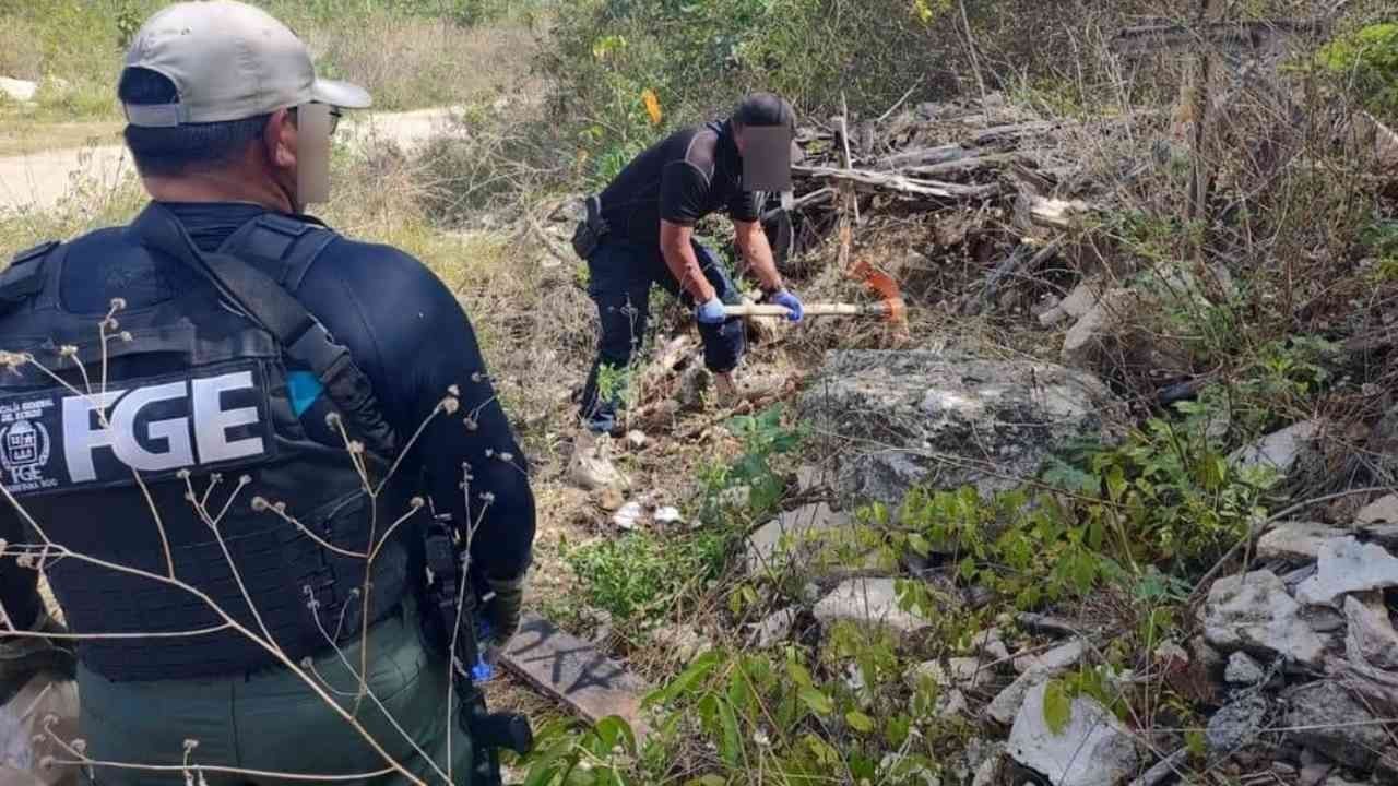 Hallan Siete Osamentas Humanas en Selva de Quintana Roo