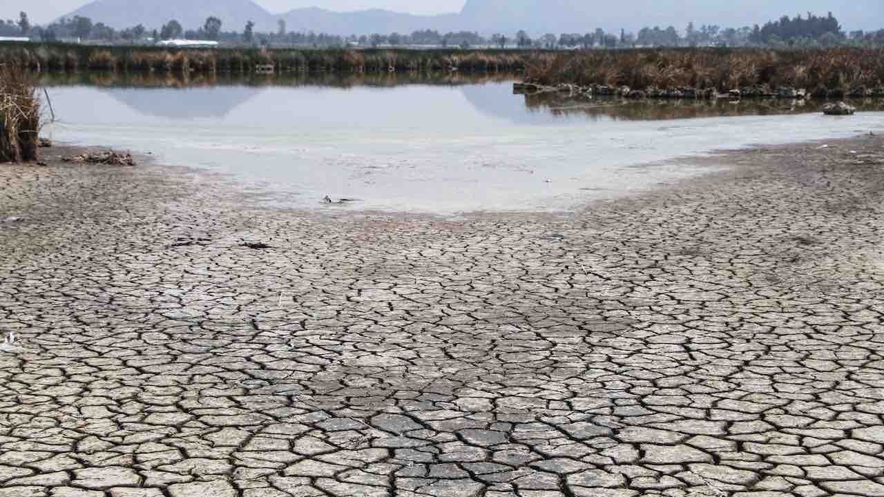 El planeta cruzó siete de ocho límites climáticos