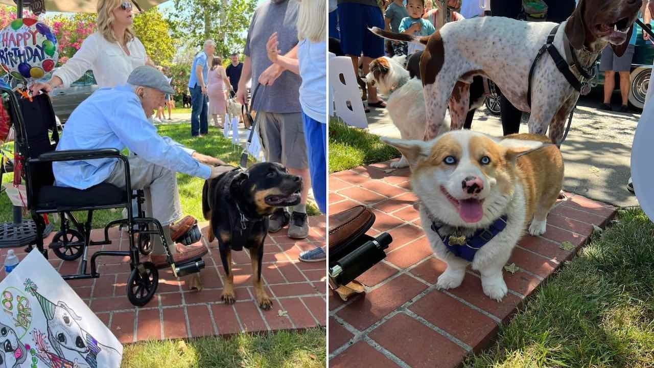 Celebran cumpleaños de abuelito con desfile de 200 perros