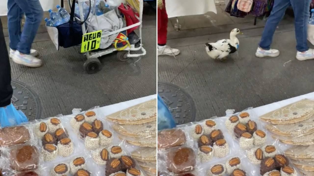 Video: Pato Vendiendo Agua en Mercado de CDMX