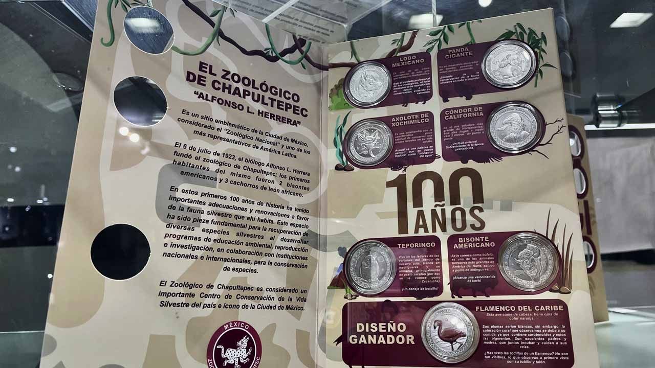 Monedas Conmemorativas del Zoológico de Chapultepec Causan Furor en CDMX; Buscan la del Ajolote 