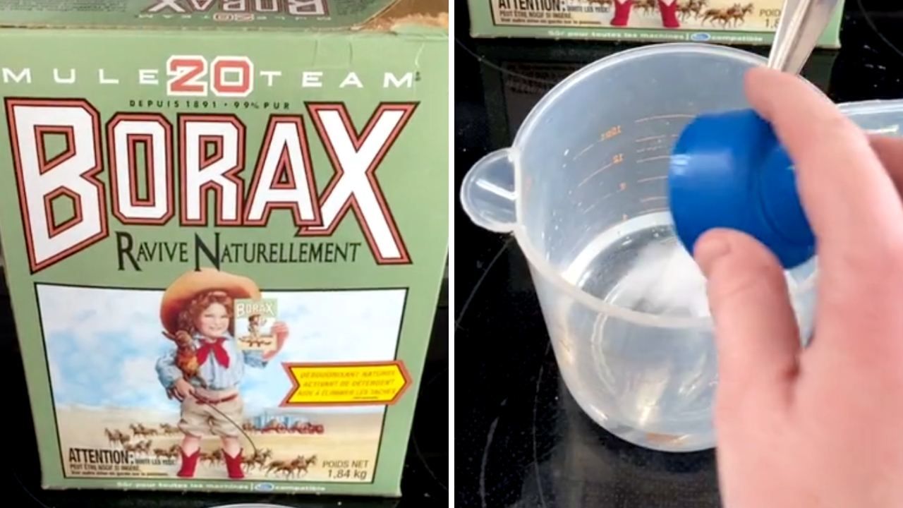 El bórax challenge o reto bórax consiste en tomar pequeñas cantidades de borato de sodio con agua, pero esto es malo para la salud