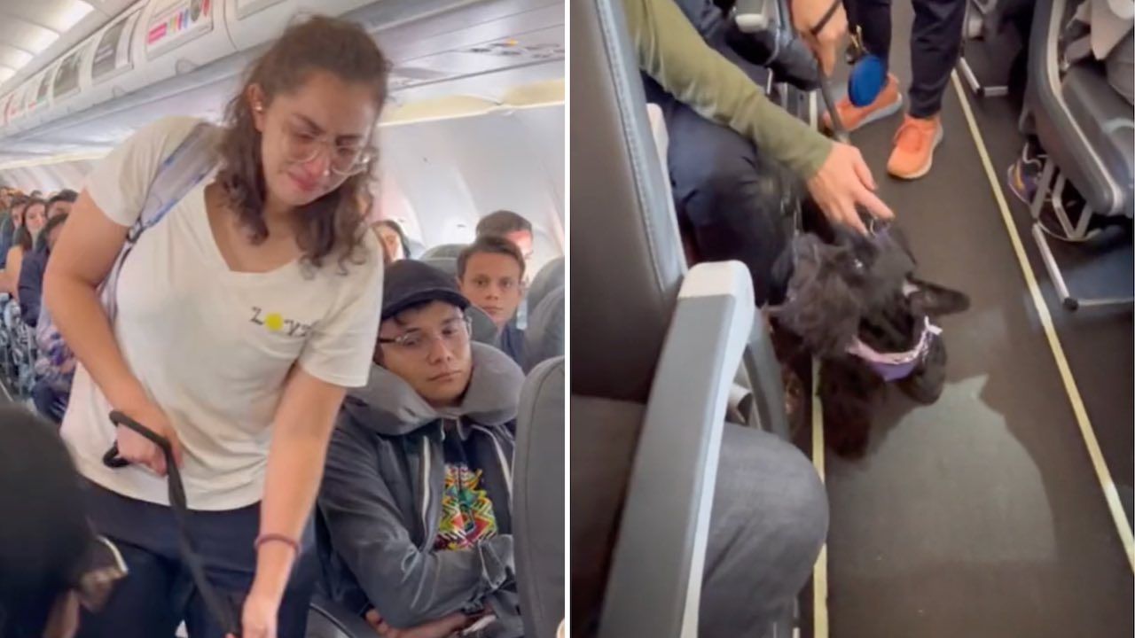 Viva Aerobús baja a pasajera y su perro del avión por no traer bozal