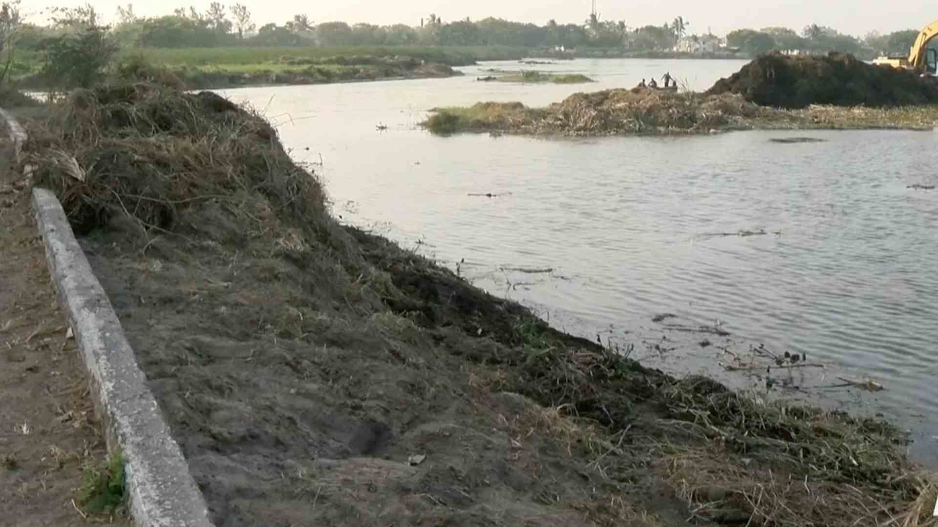 Boa Hallada en Laguna de Veracruz Podría Comerse a las Mascotas