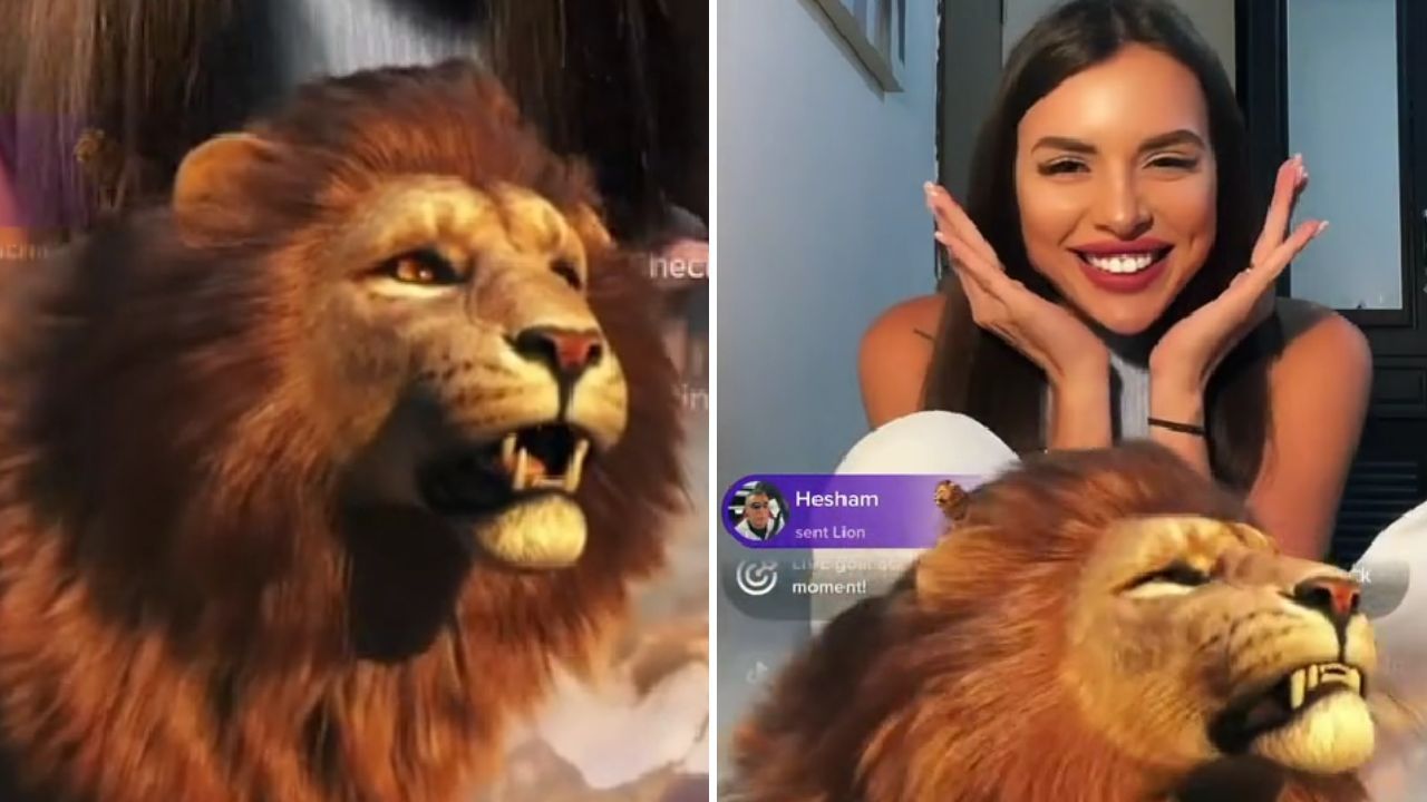 TikTok tiene un programa de recompensas y el León es de los más cotizados