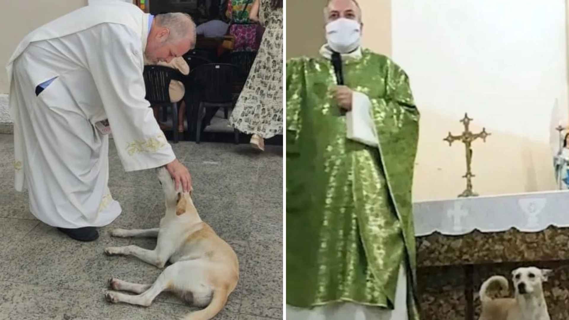 Sacerdote Rescata Perros y Aprovecha Misas para Darlos en Adopción