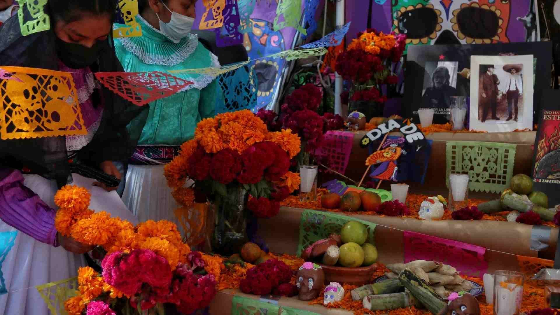 ¿Cómo Cuidar el Cempasúchil para que Dure en la Ofrenda?