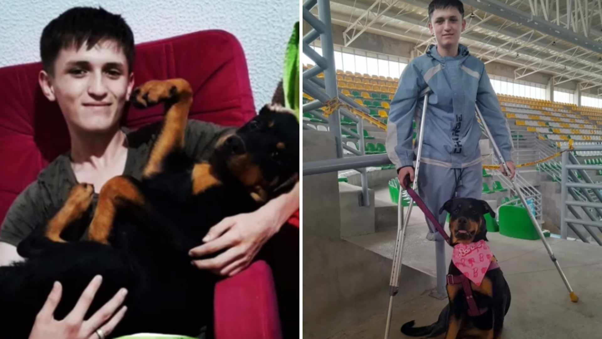 Joven Salva a su Perrito de Ser Atropellado y Pierde Una Pierna