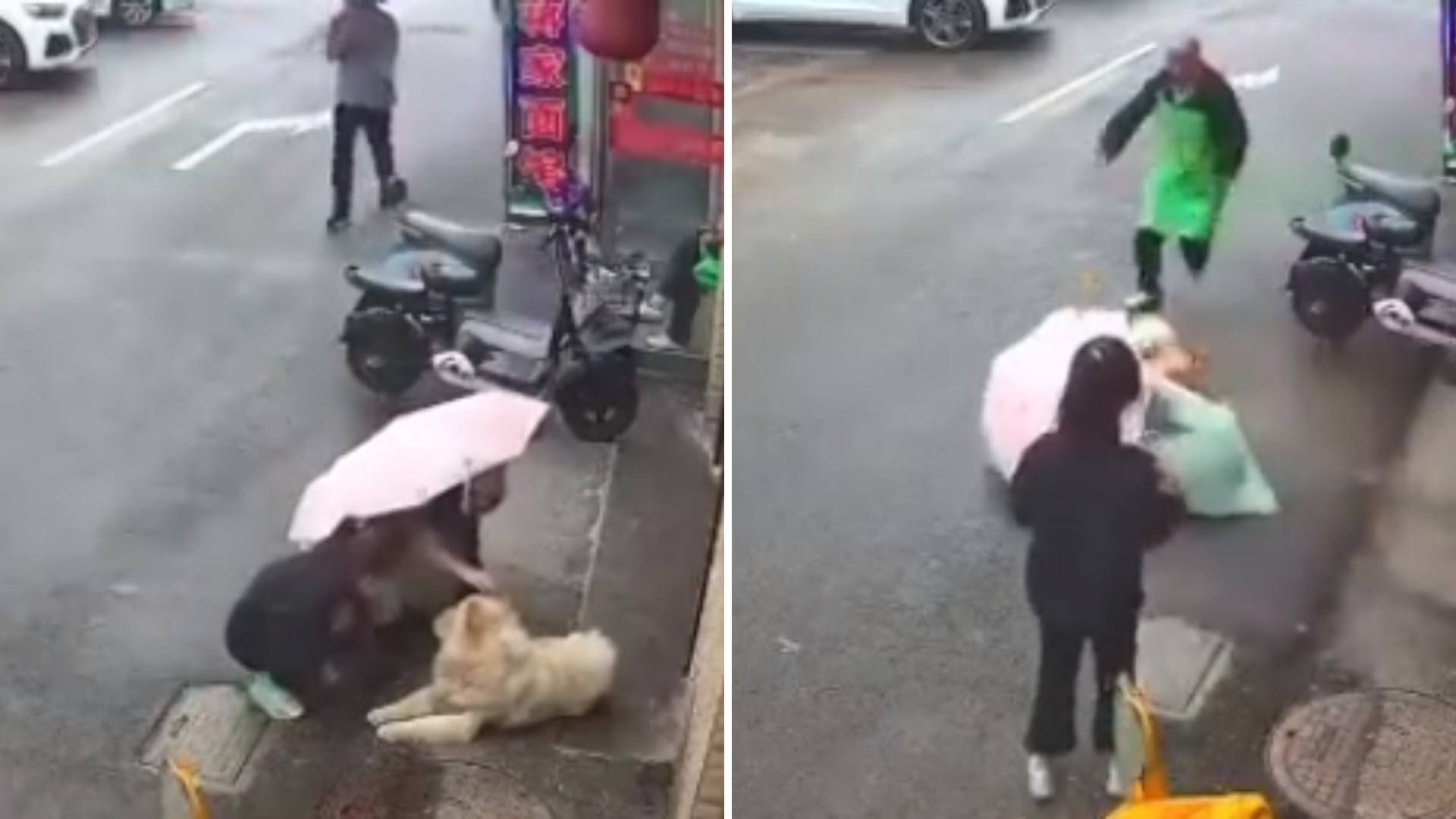 Mujer Acaricia a Perro en la Calle y le Muerde la Cara