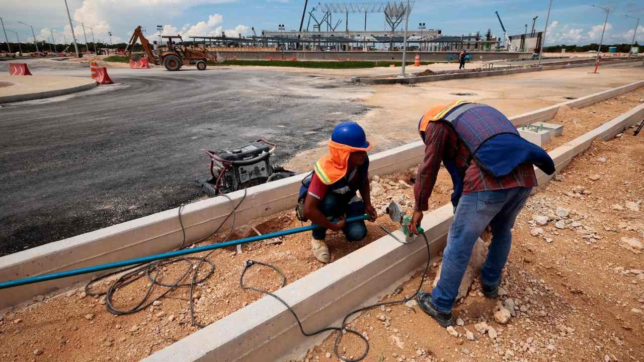 Ambientalistas denuncian ecocidio por obras del Tren Maya 