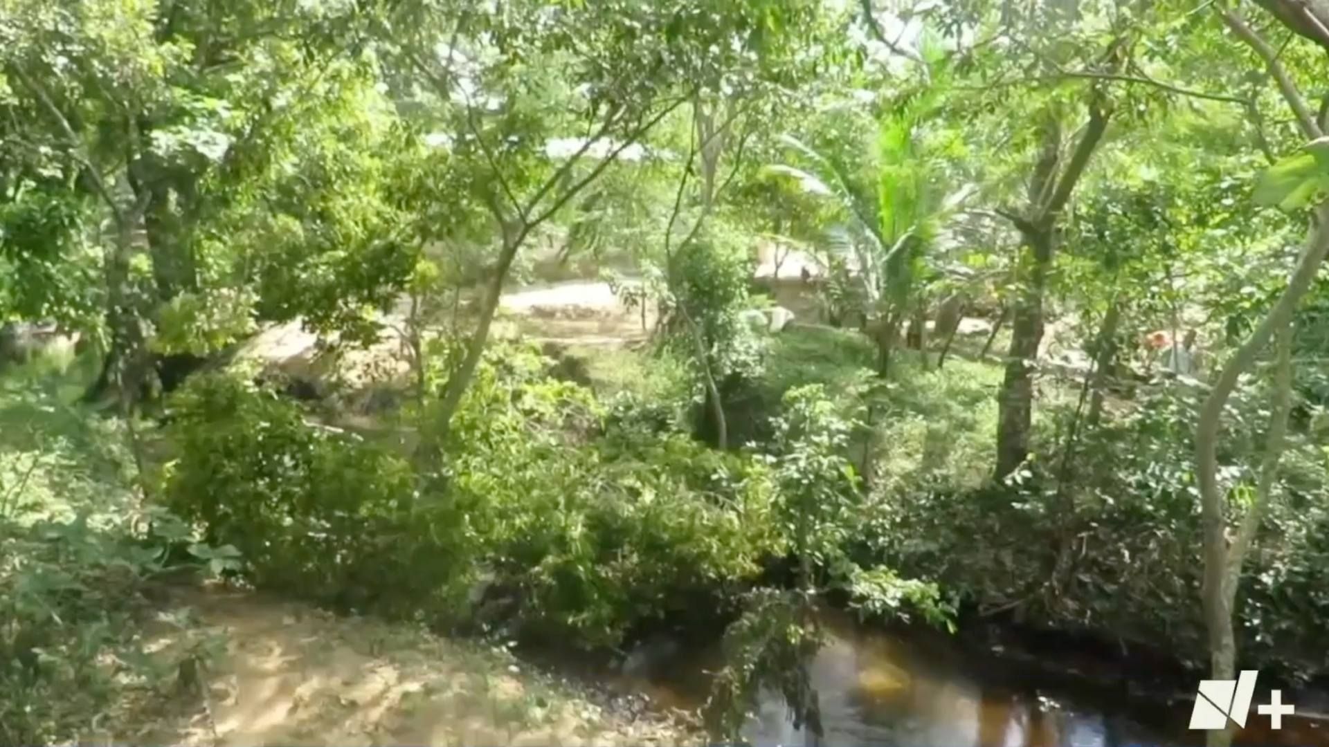 Derrame de hidrocarburo en arroyo Mezcalizapa