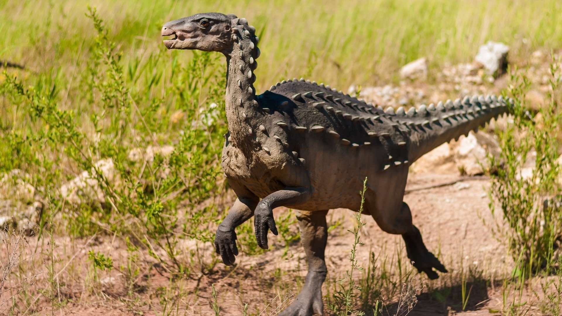 Descubren dinosaurio Farlowichnus rapidus por sus huellas en Brasil