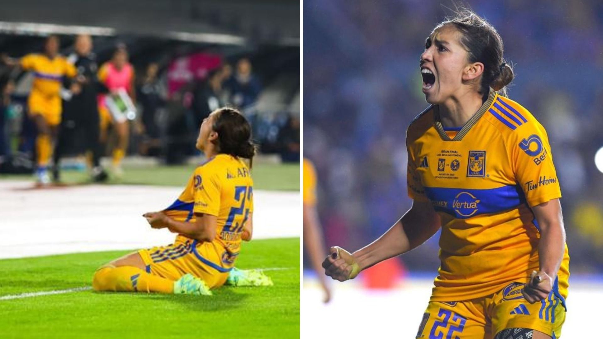 Fans de Tigres se Preocupan por la Jugadora Anika Rodríguez ¿Qué le Pasó?