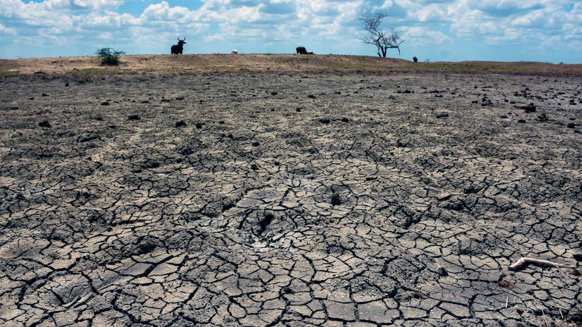 Tierra agrietada por una sequía.