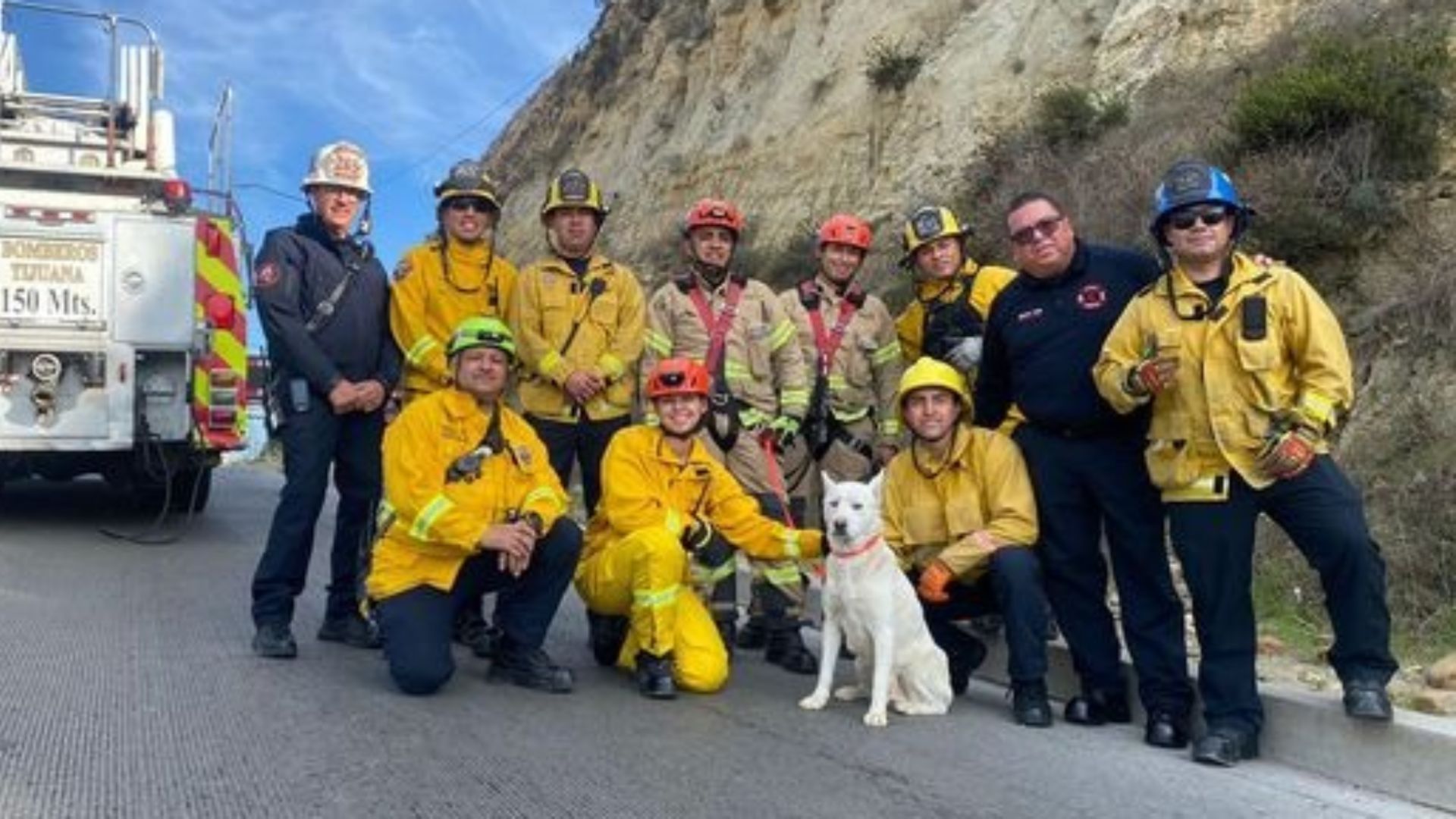 Bomberos en Tijuana rescatan más de 200 animales en 2023