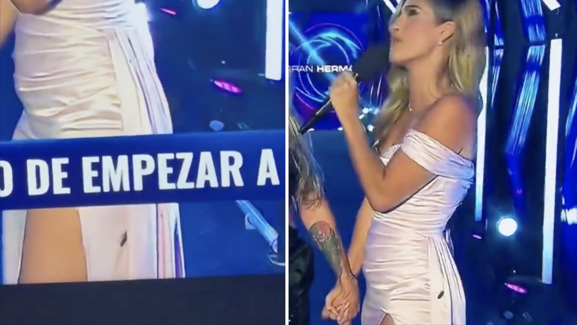 Conductora traía una cucaracha en el vestido en vivo