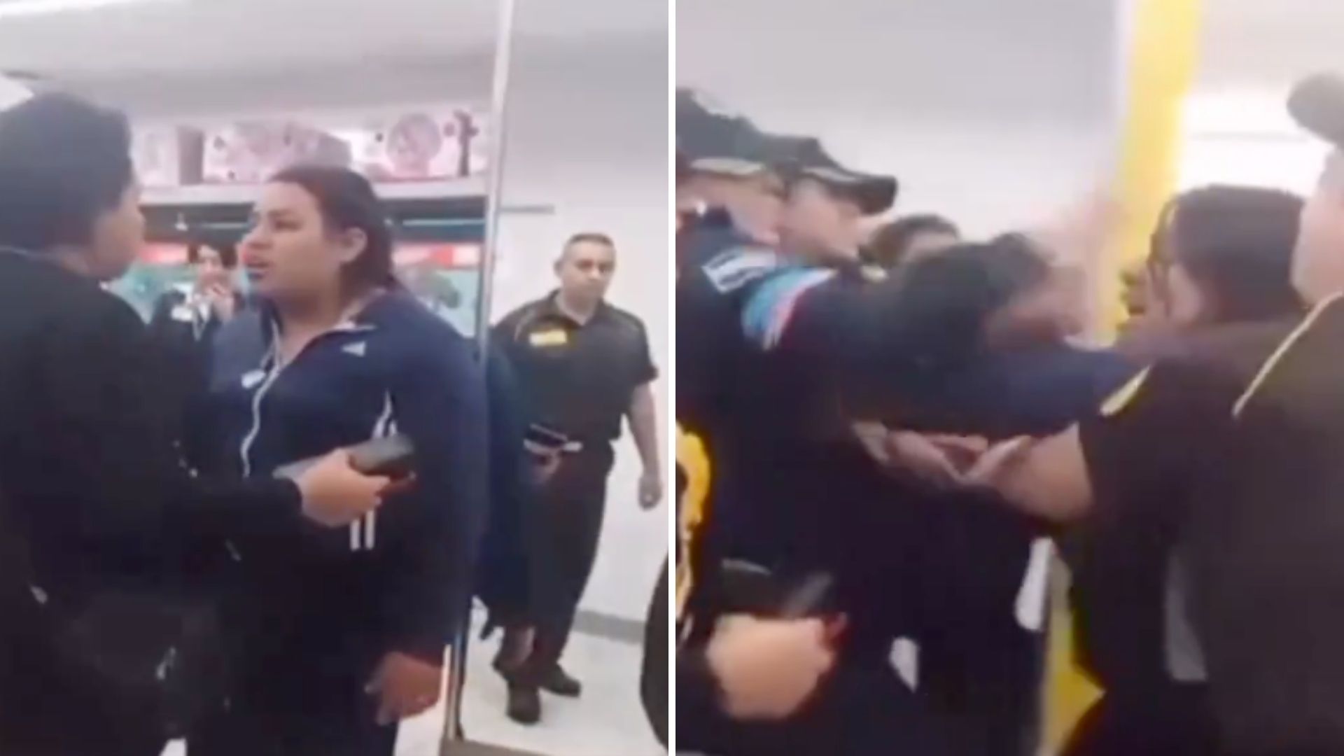 Lady Coppel: Mujer Roba Tienda y Se Agarra a Golpes con Policías 