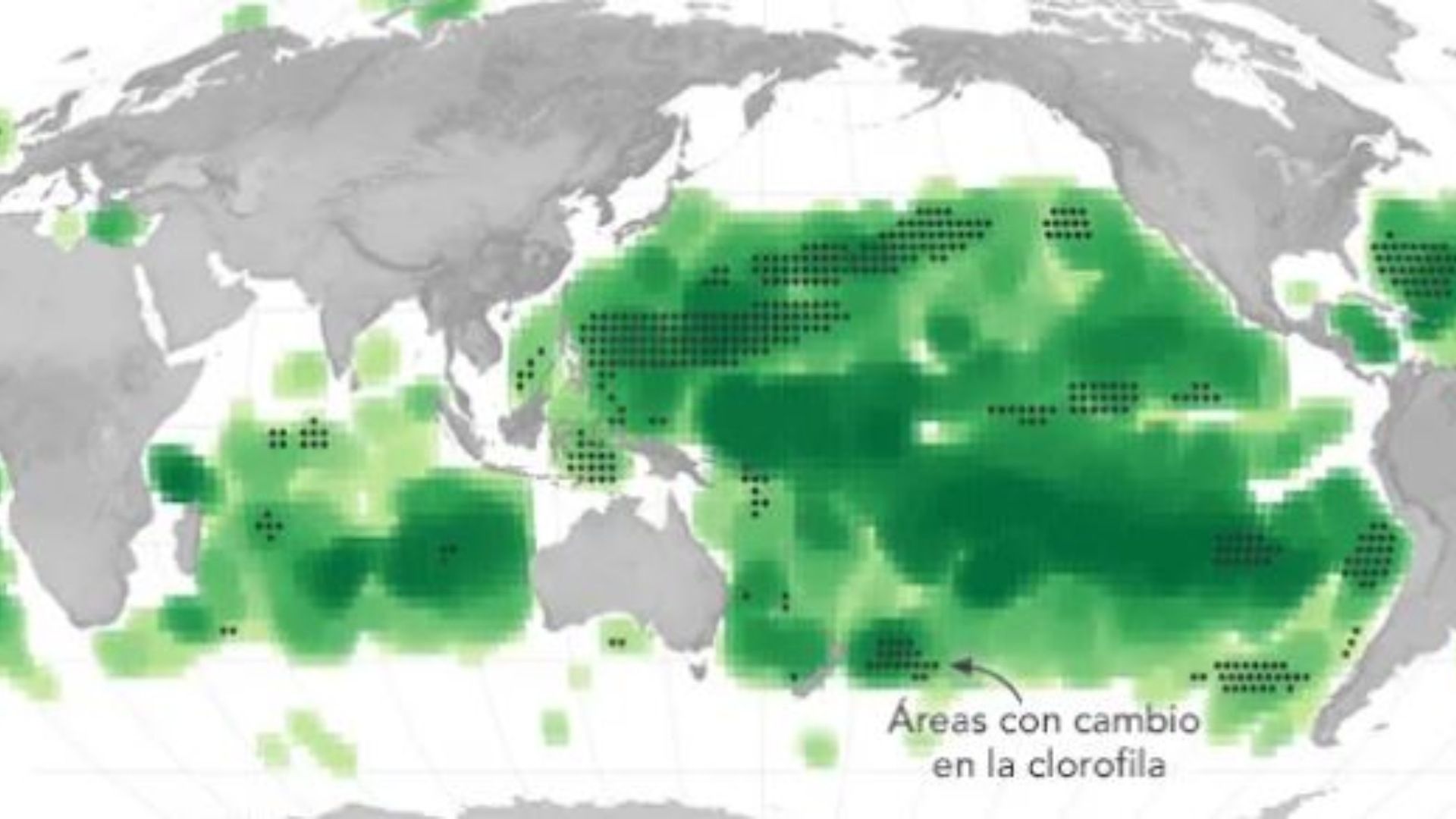 NASA Detecta que Color del Mar Está Cambiando a Verde; ¿Qué Está Pasando?