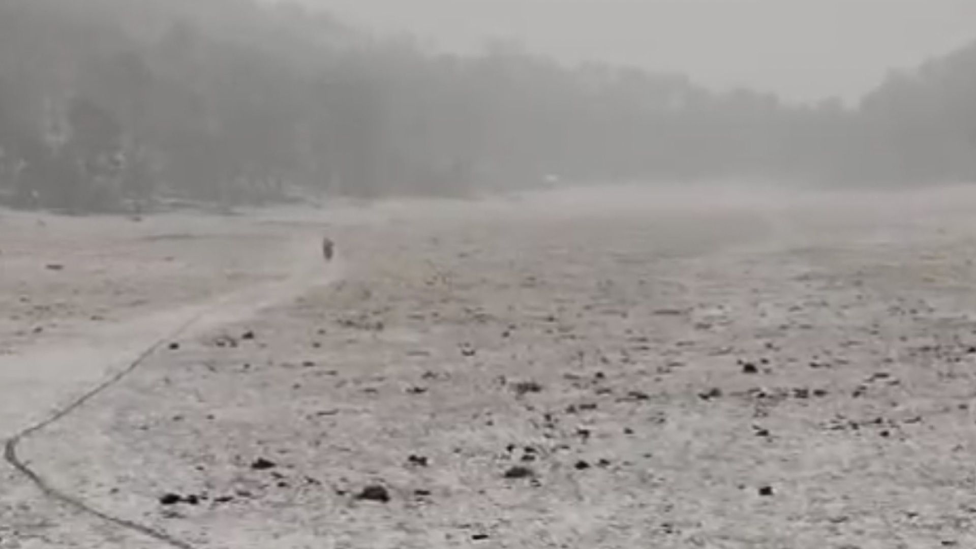 Frente Frío 35 deja Caída de Nieve en Miquihuana, Tamaulipas 