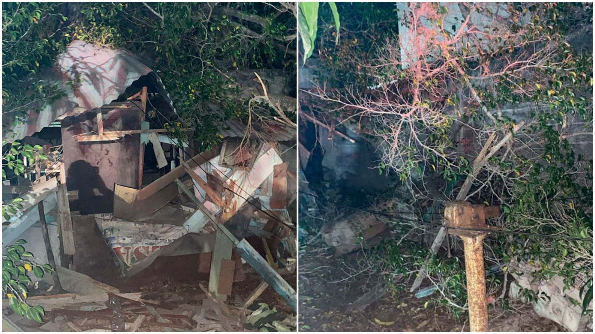 Cae Árbol sobre una Persona de la tercera Edad que se Encontraba en el Baño