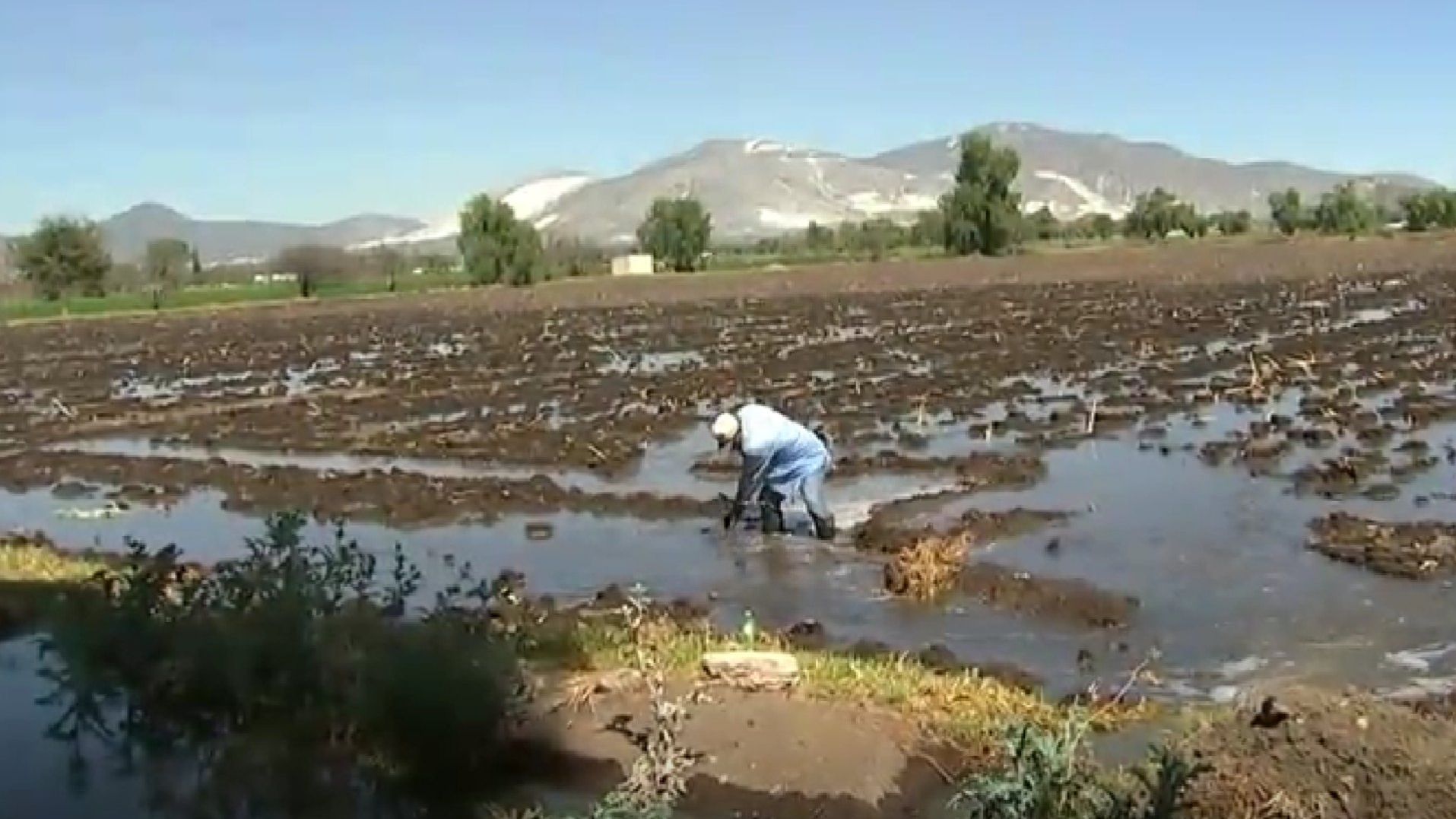 Enormes Cantidades de Agua Se Desperdician en la Producción Agrícola en México