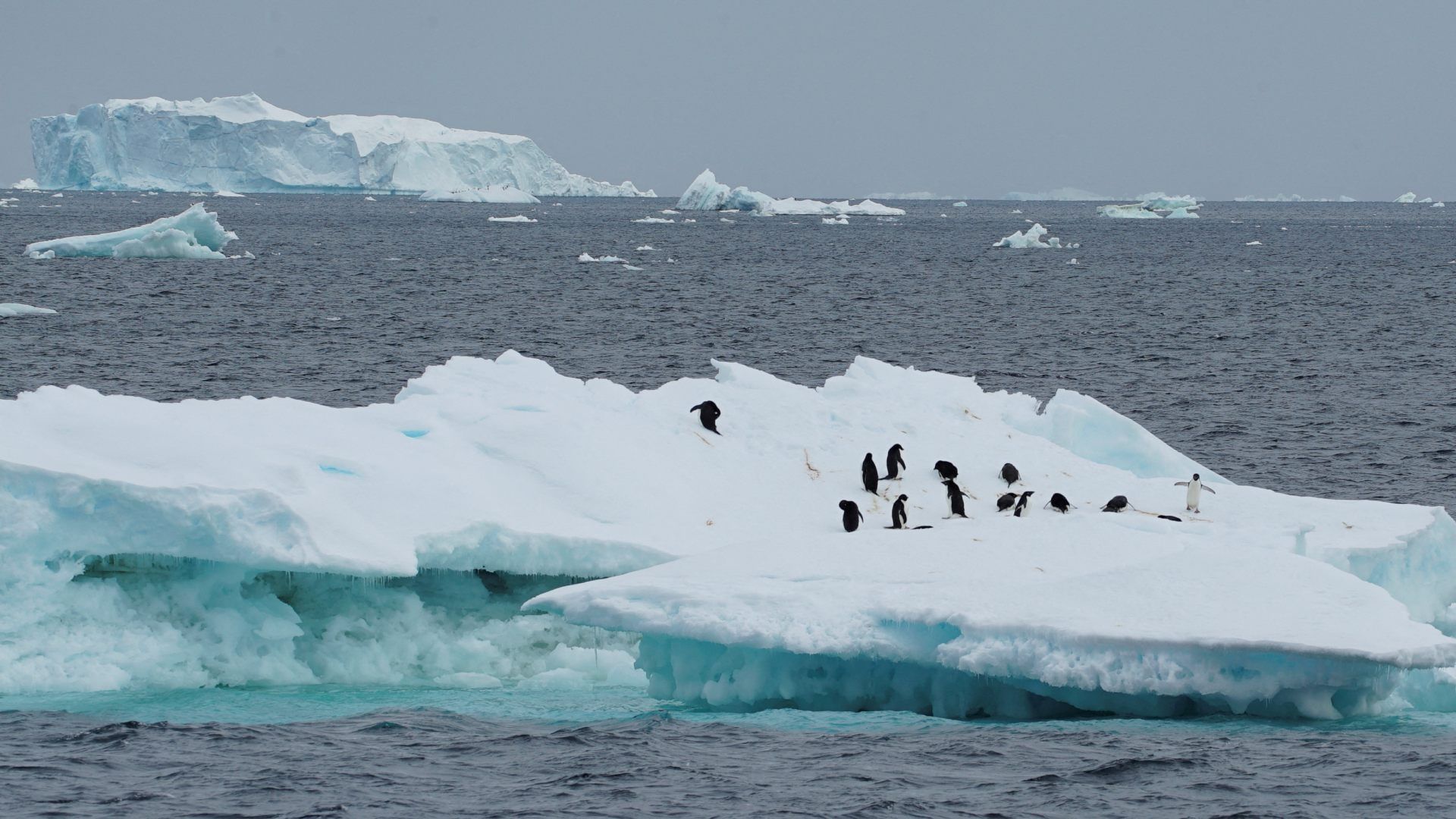 Calentamiento Global Podría Derretir Enorme Plataforma de Hielo en la Antártida