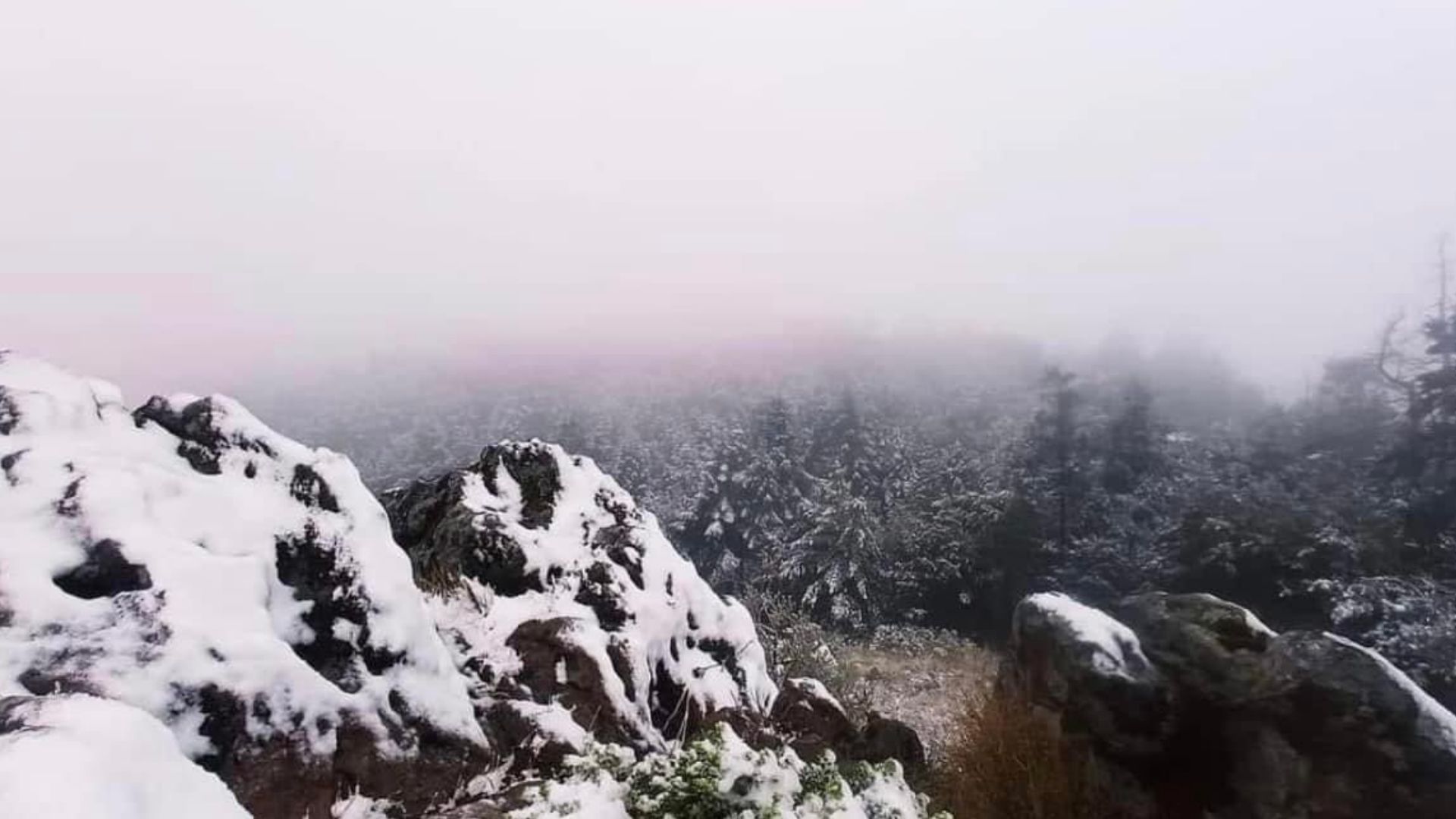 Así se ve en imágenes la caída de nieve en el Ajusco, La Marquesa y el Nevado de Toluca hoy 17 de febrero 2024