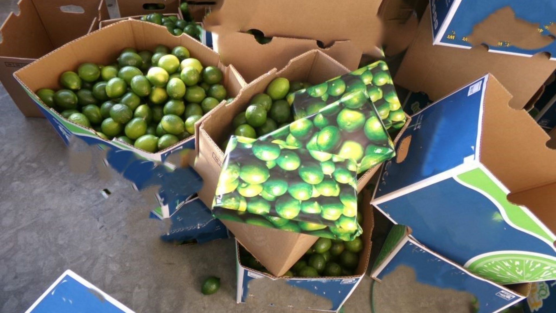 Descubren Millonario Cargamento de Cocaína en Cajas de Limones en la Garita Comercial de Otay