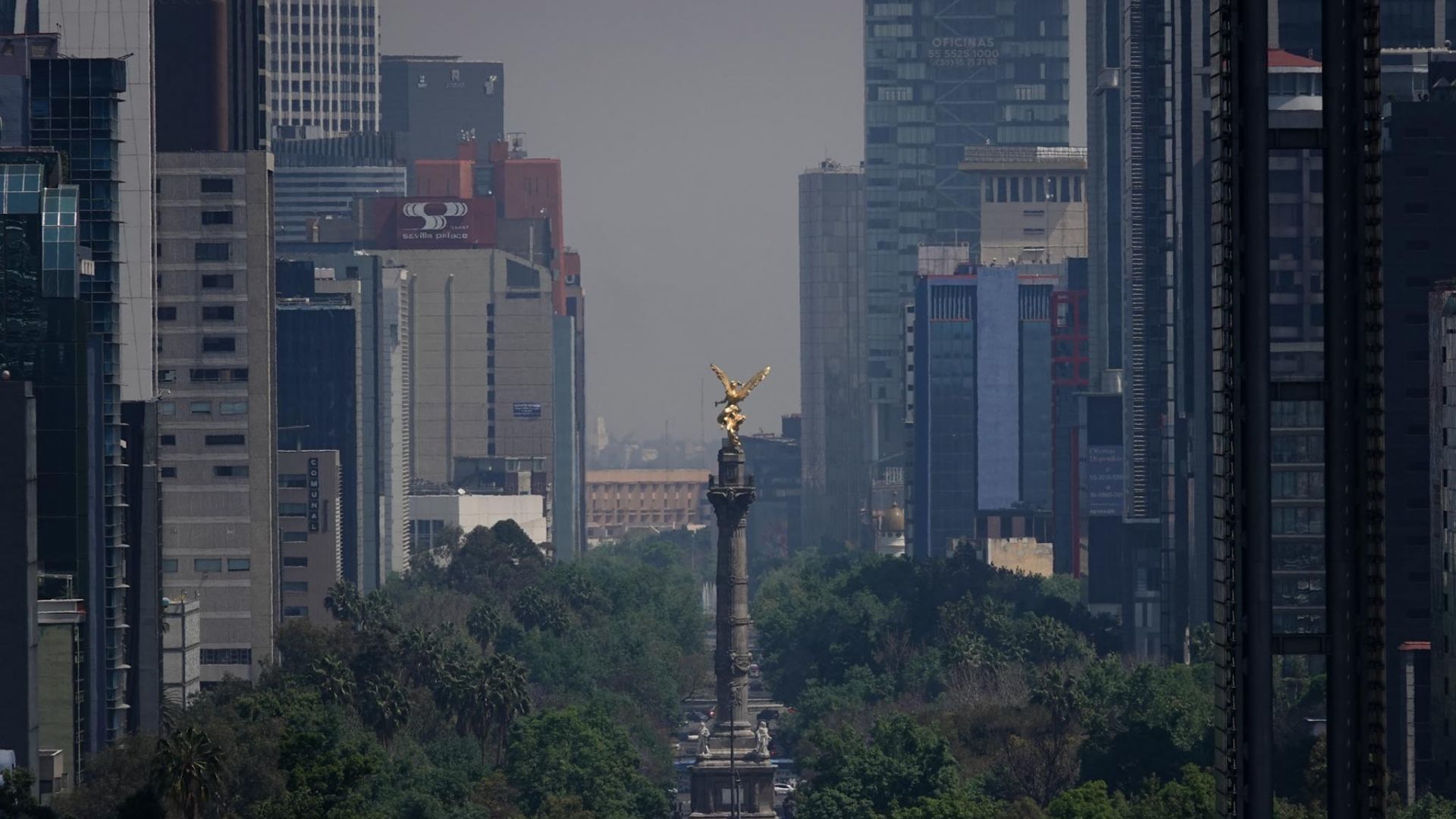 Contingencia ambiental en la Ciudad de México