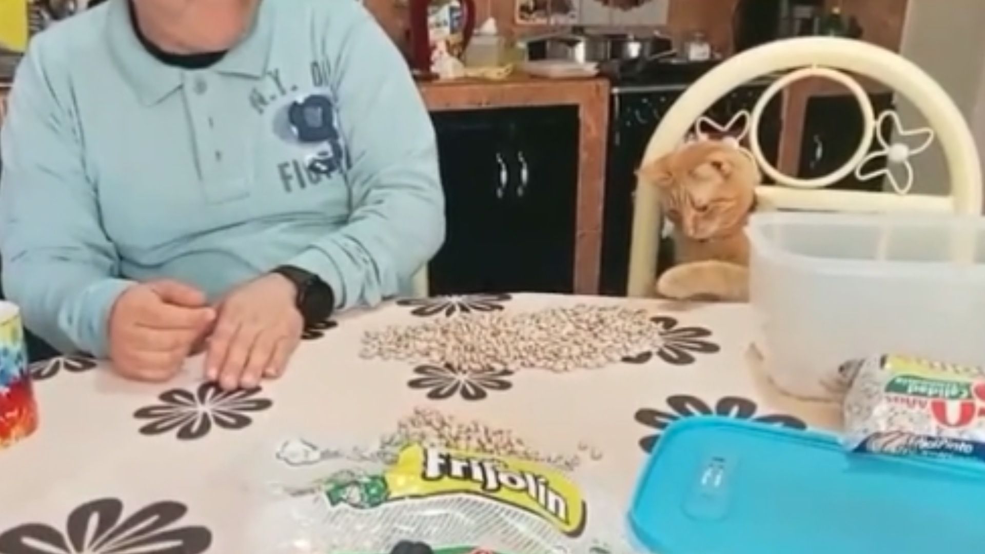¡’Michi’ Sorprendente! Gatito Ayuda a Sus Dueños Limpiando Frijoles y se Vuelve Viral en Redes Sociales