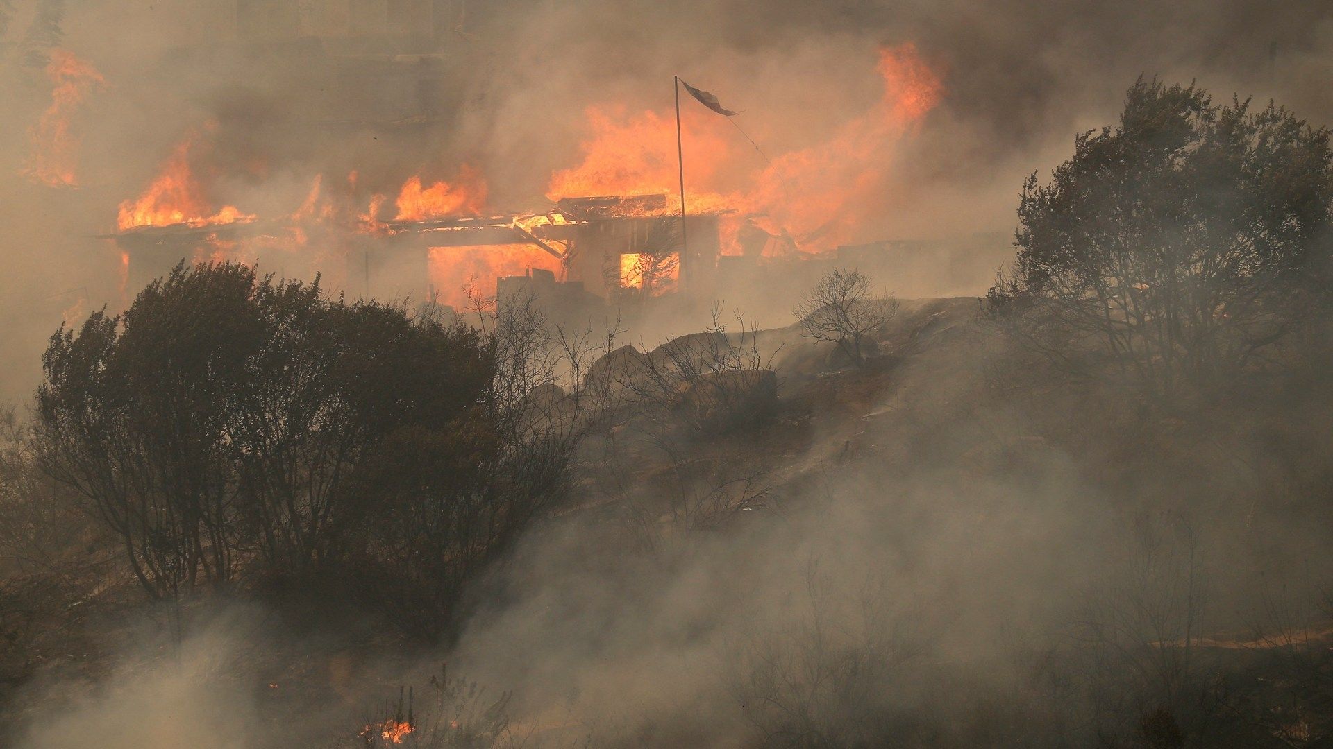 Aumenta Cifra de Muertos y Damnificados por Incendios en Chile