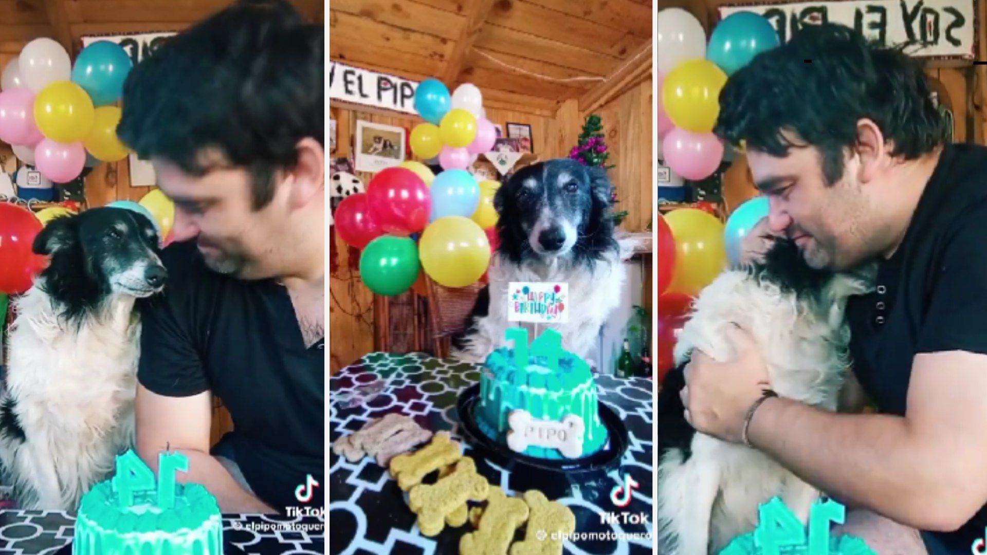 Video | ¡Qué lindo! Dueño le Manda Emotivo Mensaje a su Mejor Amigo, Un Perrito  