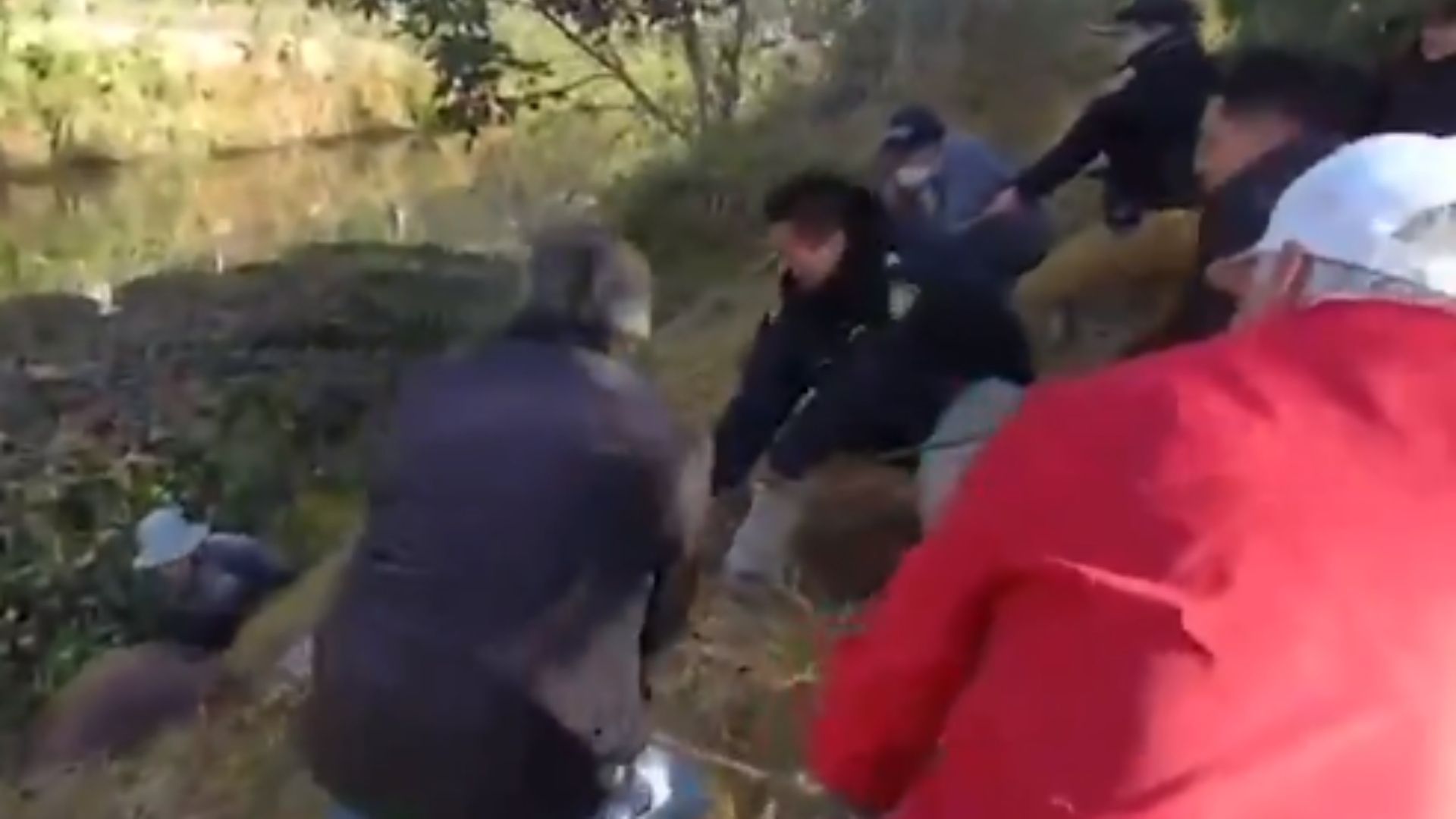 Rescatan a Caballo que Cayó a Canal Pantanoso en Xochimilco