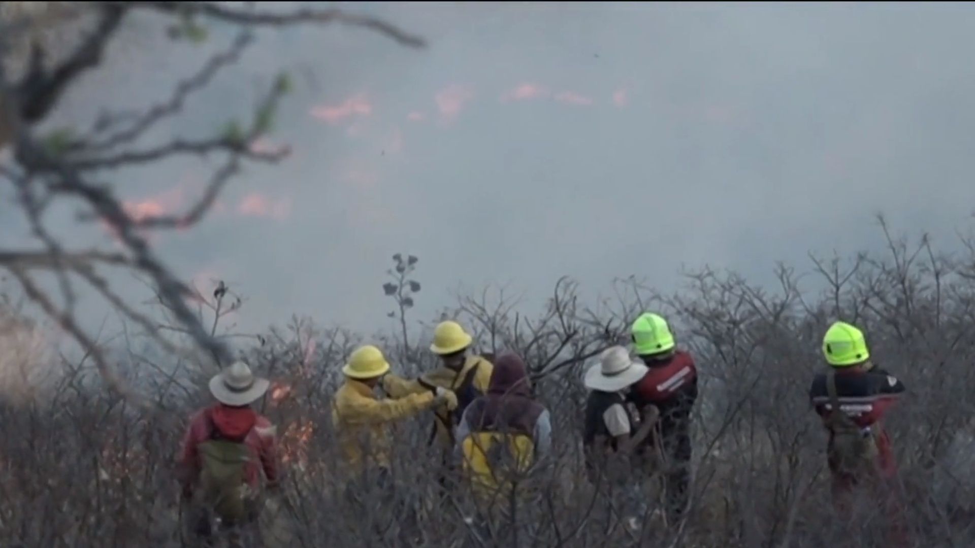 Mueren Brigadistas Mientras Combatían Incendio en Oaxaca