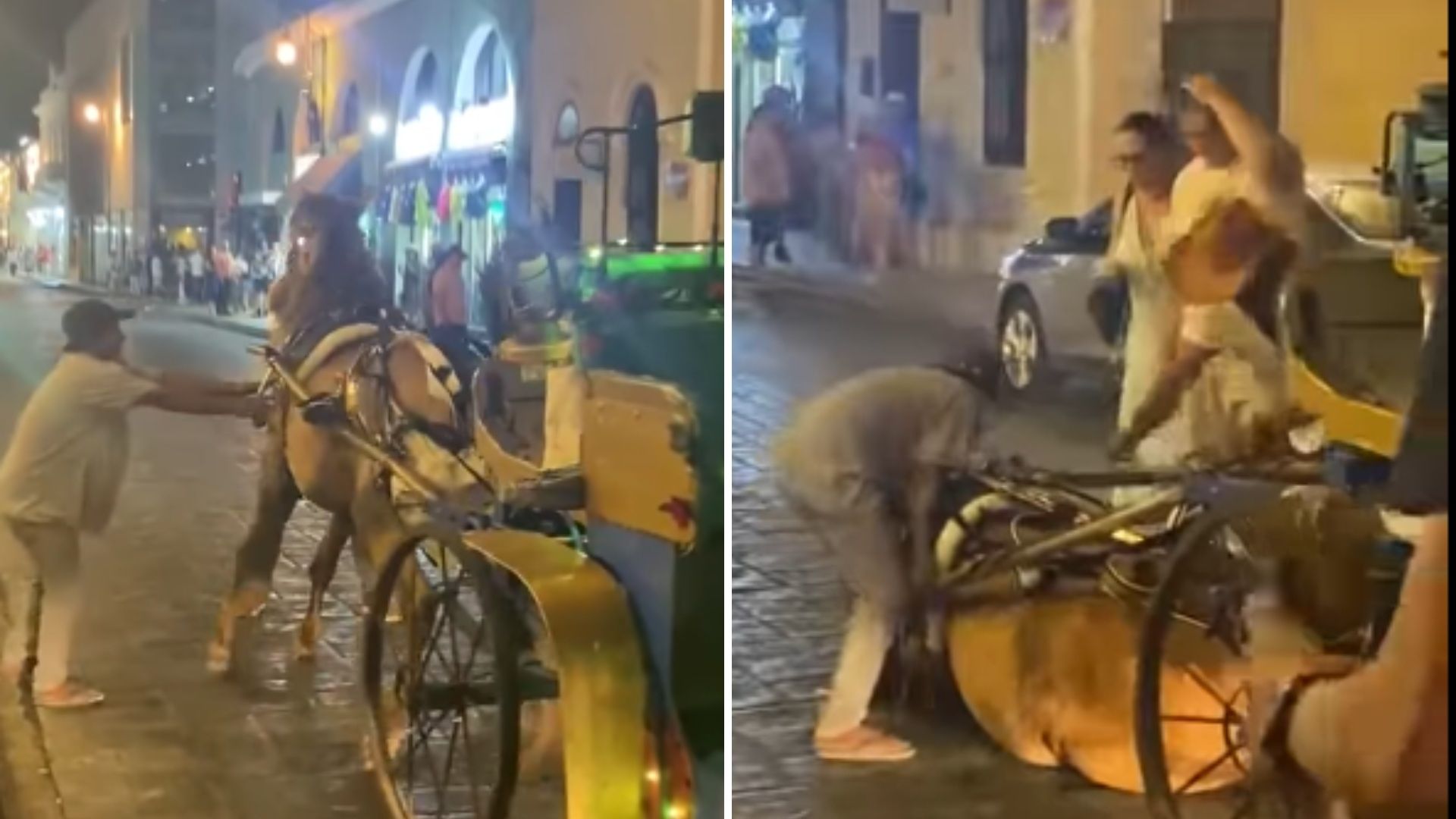 Caballo de Calesa se Desploma por Cansancio y Calor en Yucatán