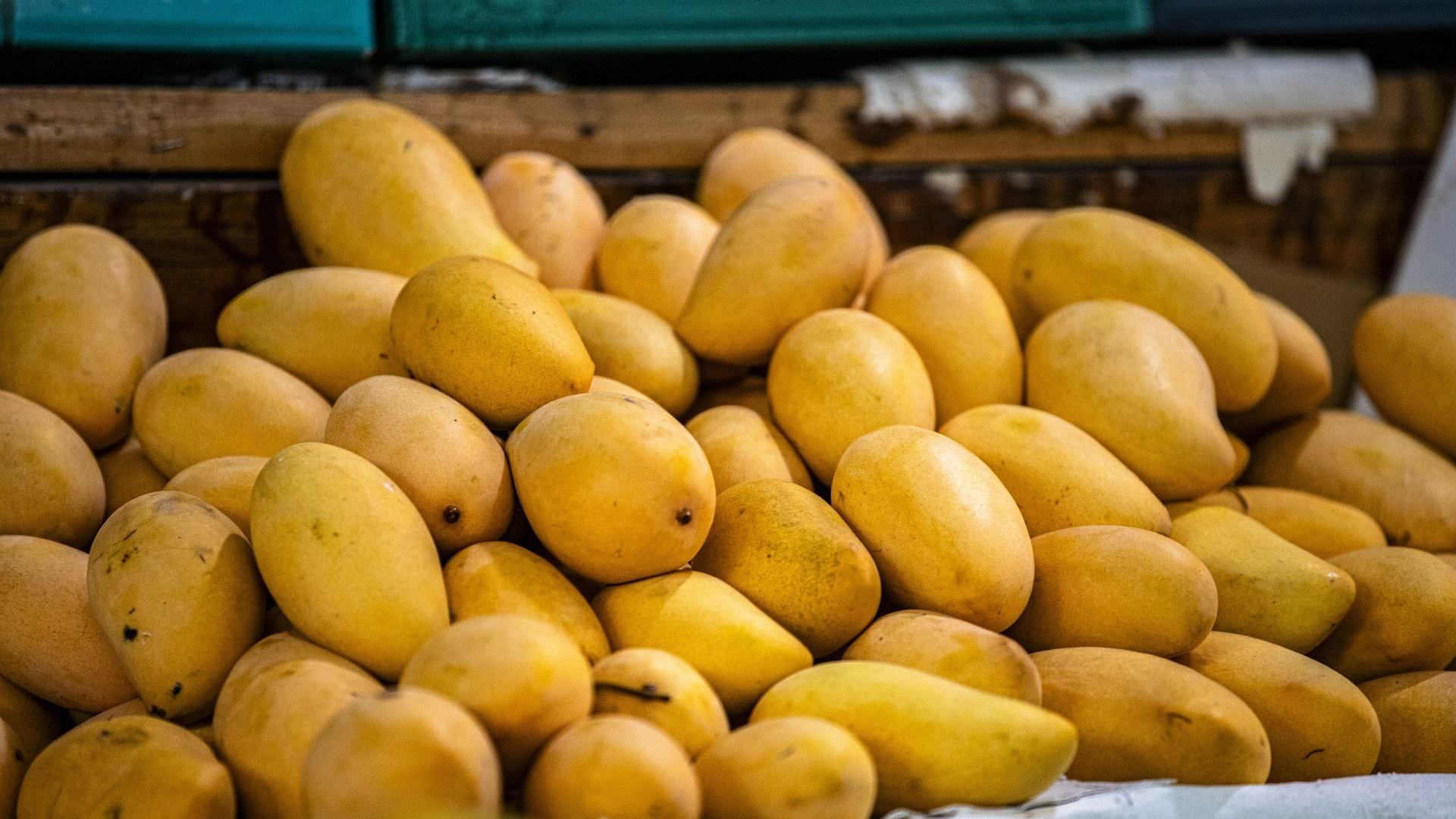 Hombre Ataca a 7 Niñas de Primaria por Cortar Mangos de Su Árbol 