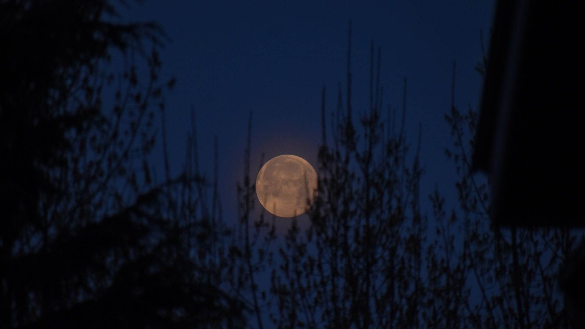 Luna llena se aprecia en Srinagar, India 