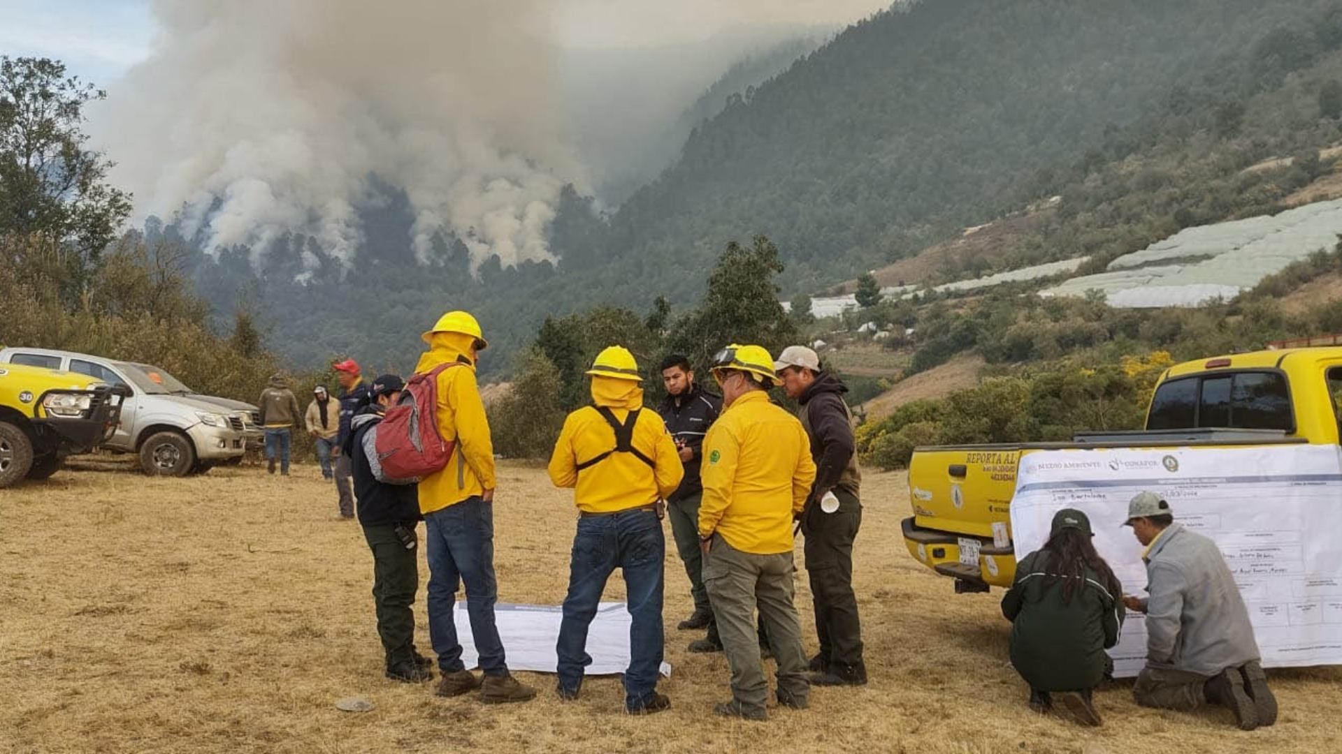 Combate de incendios forestales en Edomex