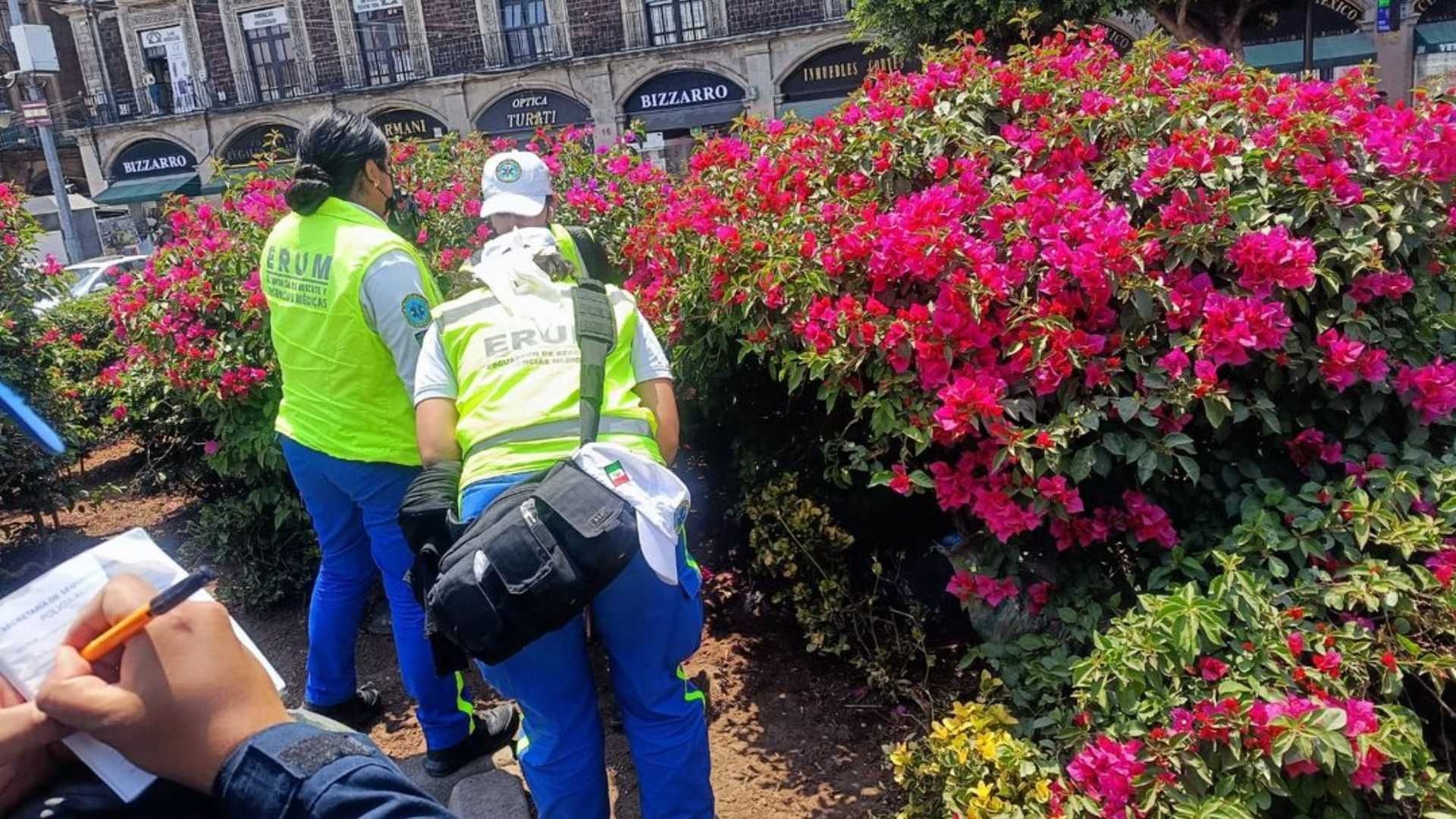 Hallan a Hombre Muerto en Jardinera en Inmediaciones del Zócalo CDMX 