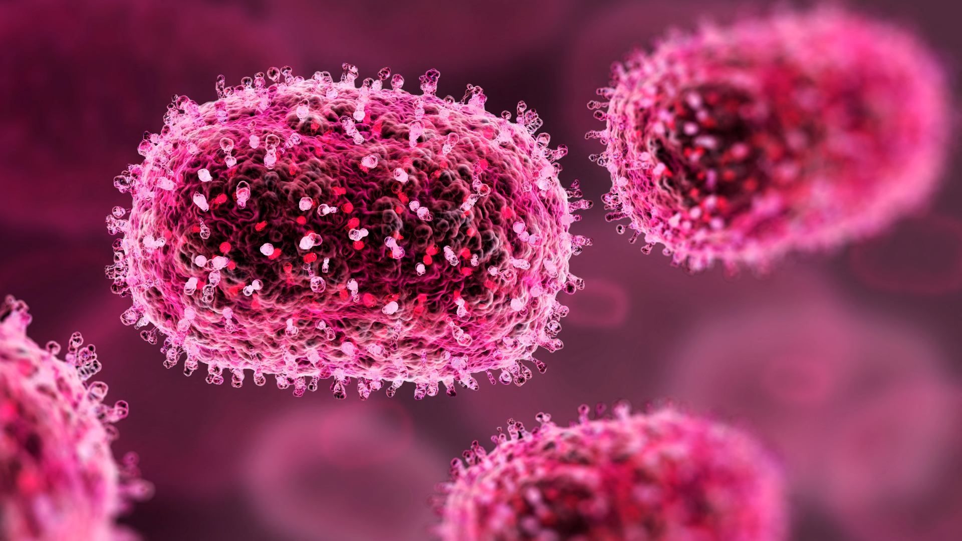 Ilustración del virus de mpox, anteriormente conocido como viruela del mono.