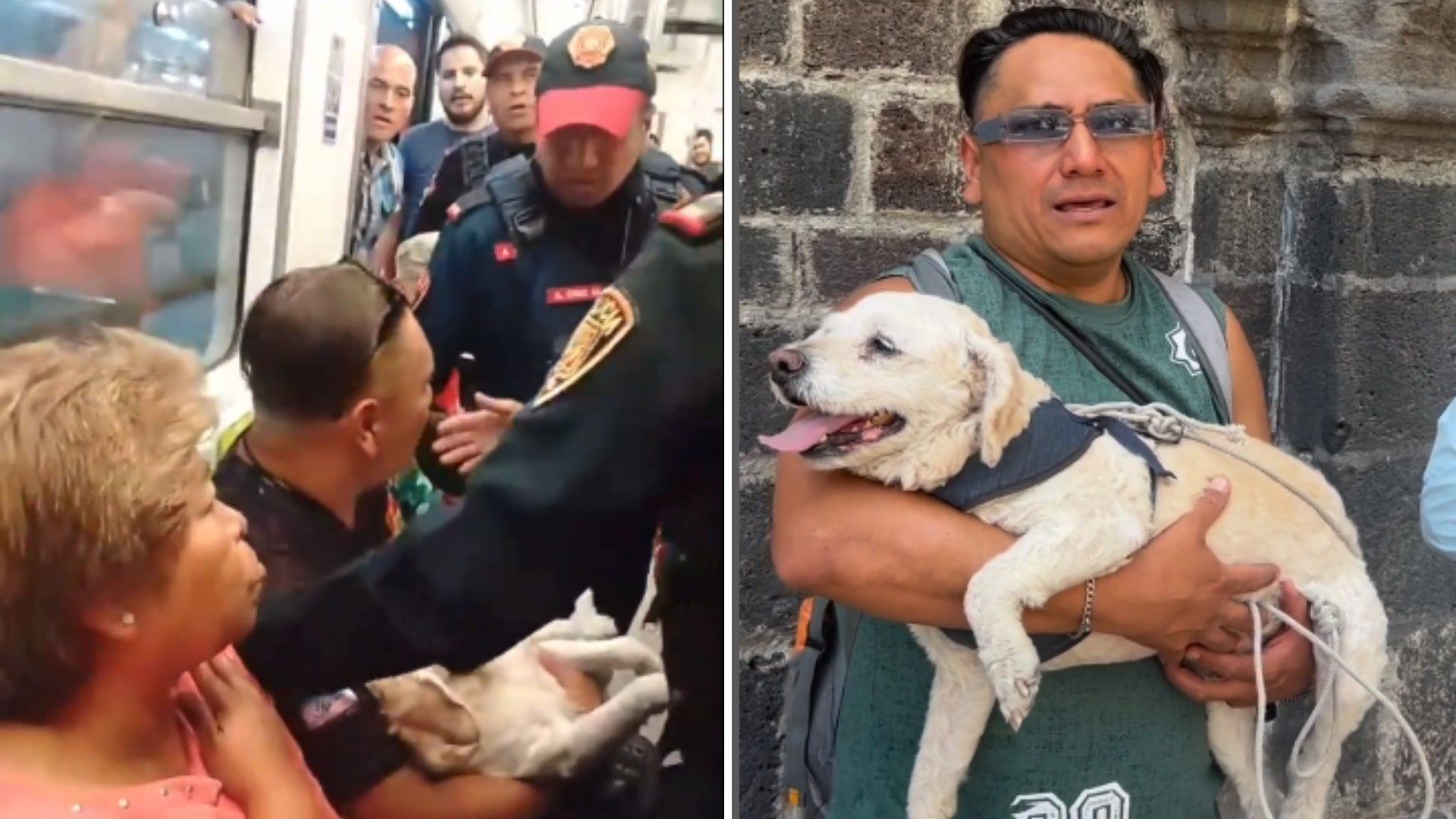 Esta es la Historia del Pasajero y el Perrito Desalojados del Metro CDMX