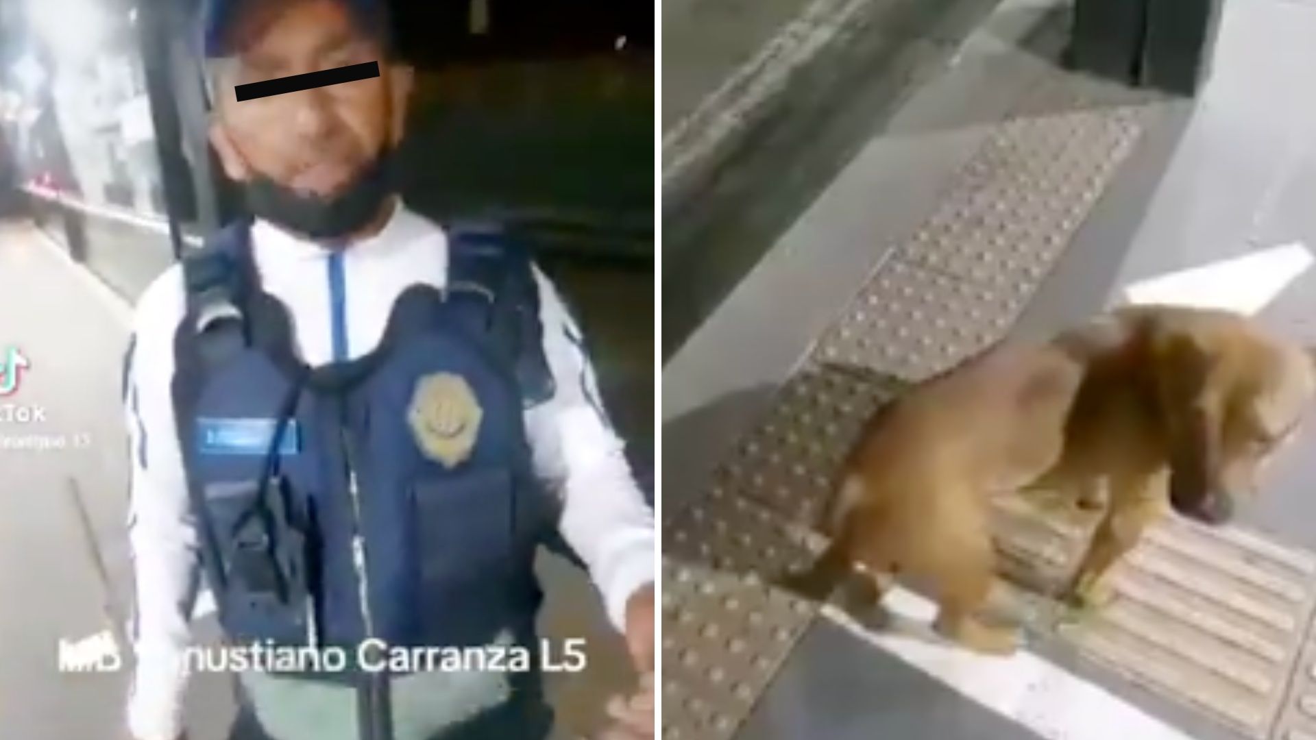 Video: Policía Intenta a Sacar a Palazos a Perrito en Estación de Metrobús Venustiano Carranza