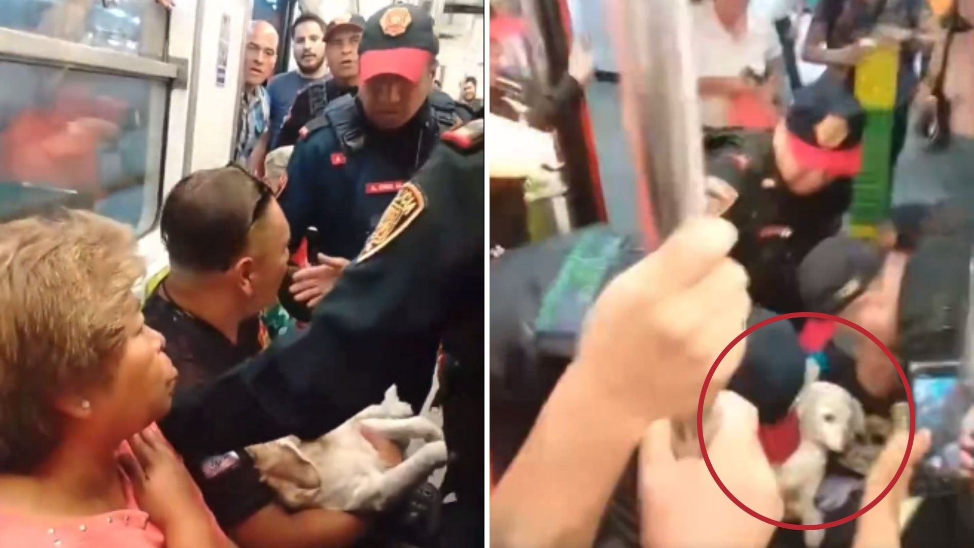 Policías Sacan a Pasajero con Perrito Herido del Metro CDMX